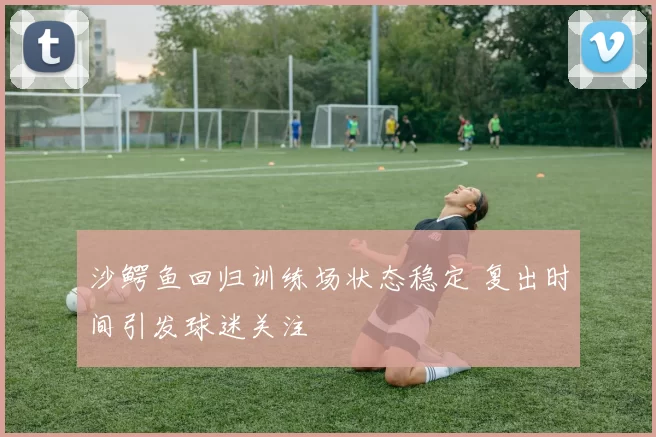 沙鳄鱼回归训练场状态稳定 复出时间引发球迷关注