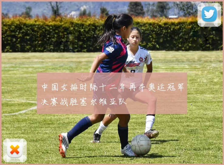 中国女排时隔十二年再夺奥运冠军决赛战胜塞尔维亚队